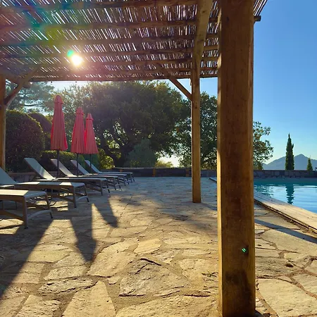 A Avec Piscine Pour 8 Personnes En Corse Du Sud Villa