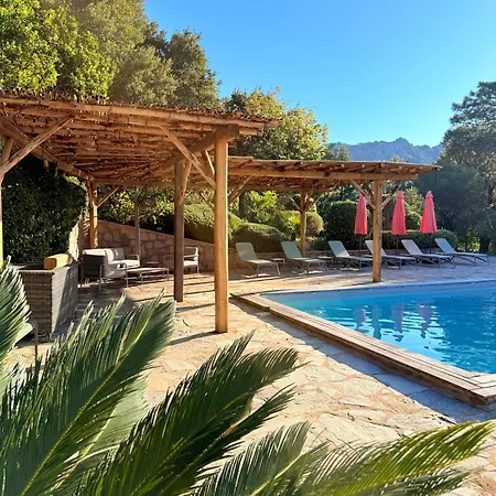 Villa A Avec Piscine Pour 8 Personnes En Corse Du Sud *