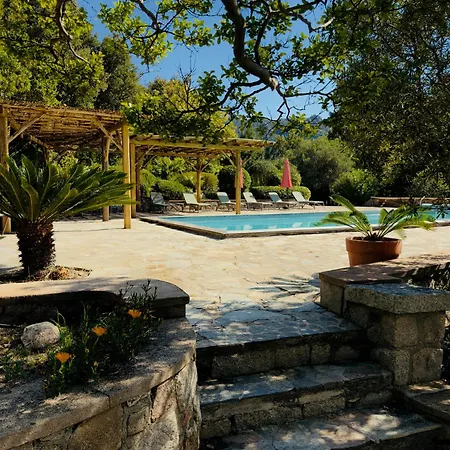 A Avec Piscine Pour 8 Personnes En Corse Du Sud * Conca
