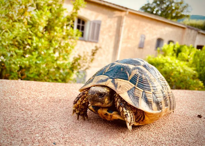 Avec Piscine Dans Un Village - Superbe Vue Montagne -5 Minutes De La