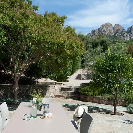 A Avec Piscine Pour 8 Personnes En Corse Du Sud *