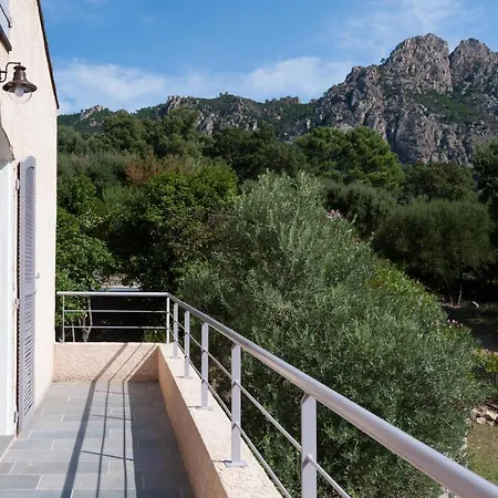 A Avec Piscine Pour 8 Personnes En Corse Du Sud