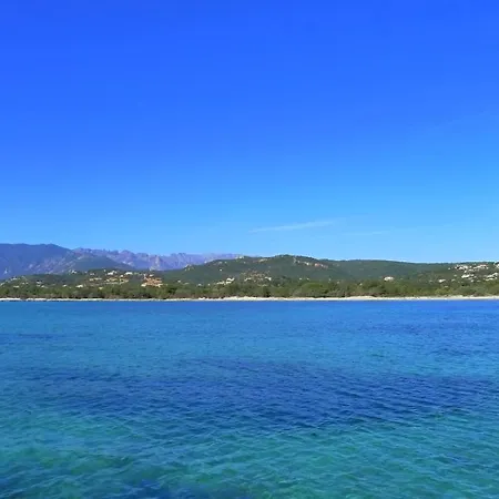 Villa A Avec Piscine Pour 8 Personnes En Corse Du Sud