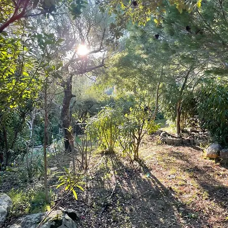 A Avec Piscine Pour 8 Personnes En Corse Du Sud *