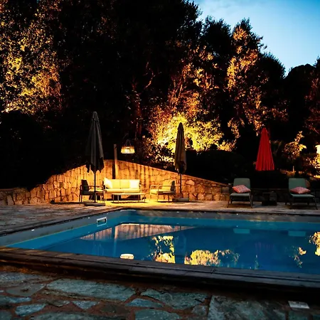 Villa A Avec Piscine Pour 8 Personnes En Corse Du Sud